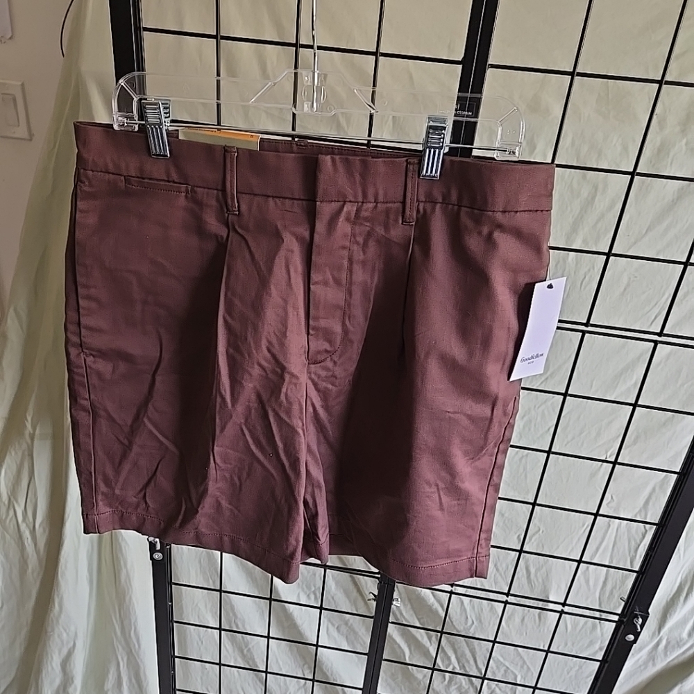 Goodfellow & Co The Pleated Chino Shorts Mens Size 32 Brown NEW